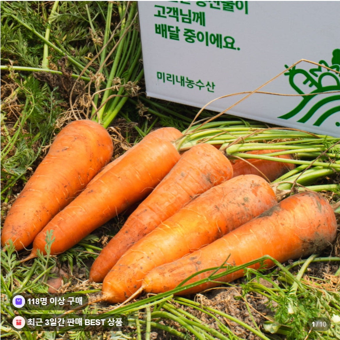 생활